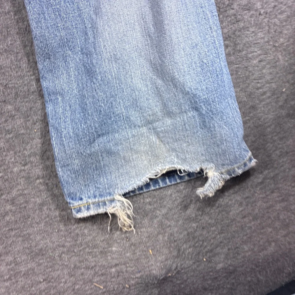 Levis levi 527